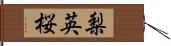 梨英桜 Hand Scroll