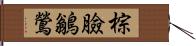 棕臉鶲鶯 Hand Scroll