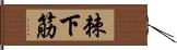 棘下筋 Hand Scroll