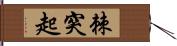 棘突起 Hand Scroll