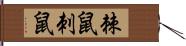 棘鼠 Hand Scroll