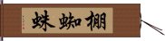 棚蜘蛛 Hand Scroll