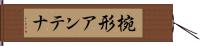 椀形アンテナ Hand Scroll
