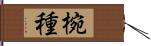 椀種 Hand Scroll