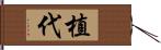 植代 Hand Scroll