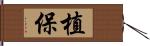 植保 Hand Scroll