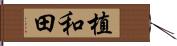 植和田 Hand Scroll