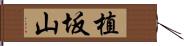 植坂山 Hand Scroll