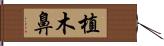 植木鼻 Hand Scroll