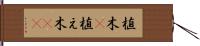 植木(P) Hand Scroll