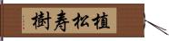 植松寿樹 Hand Scroll
