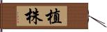 植株 Hand Scroll