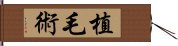 植毛術 Hand Scroll