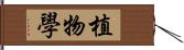 植物學 Hand Scroll