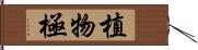 植物極 Hand Scroll