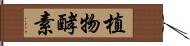 植物酵素 Hand Scroll