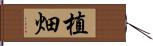 植畑 Hand Scroll
