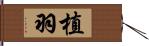 植羽 Hand Scroll