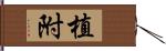 植附 Hand Scroll