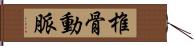 椎骨動脈 Hand Scroll