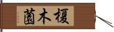 榎木薗 Hand Scroll