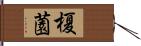 榎薗 Hand Scroll
