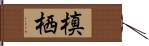 槙栖 Hand Scroll