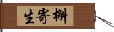 槲寄生 Hand Scroll