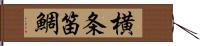 横条笛鯛 Hand Scroll