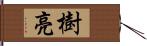 樹亮 Hand Scroll