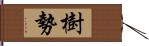 樹勢 Hand Scroll