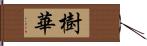 樹華 Hand Scroll