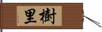 樹里 Hand Scroll