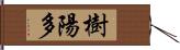 樹陽多 Hand Scroll