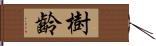 樹齡 Hand Scroll