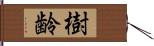 樹齢 Hand Scroll