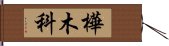 樺木科 Hand Scroll