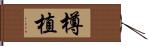 樽植 Hand Scroll