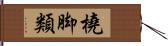 橈脚類 Hand Scroll