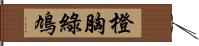 橙胸綠鳩 Hand Scroll