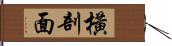 橫剖面 Hand Scroll