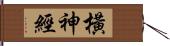 橫神經 Hand Scroll