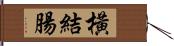 橫結腸 Hand Scroll