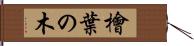 檜葉の木 Hand Scroll