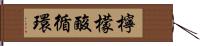 檸檬酸循環 Hand Scroll