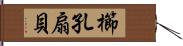 櫛孔扇貝 Hand Scroll