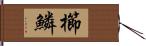 櫛鱗 Hand Scroll