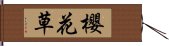 櫻花草 Hand Scroll