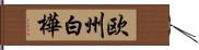 欧州白樺 Hand Scroll