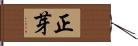 正芽 Hand Scroll